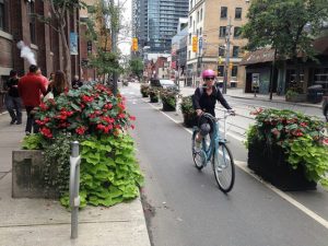 A picture of a woman riding a bicycle in a protected cycle lane with planters.